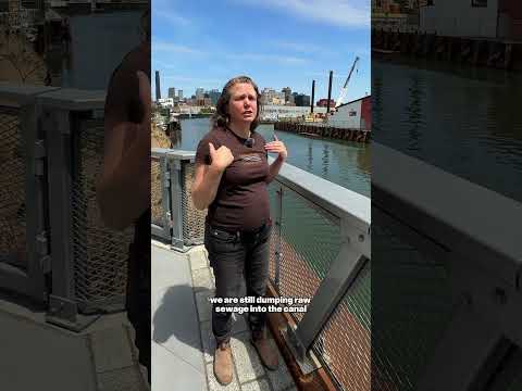 The future of NYC’s most polluted canal (with @gowanuscanalconservancy5991)