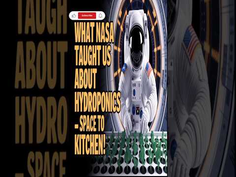 What NASA Taught Us About Hydroponics – Space to Kitchen!. NASA&#039;s SPACE AGE Hydroponic Secrets.