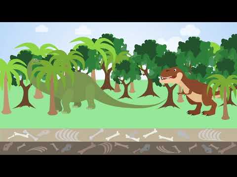 What is the deal with meteorites?