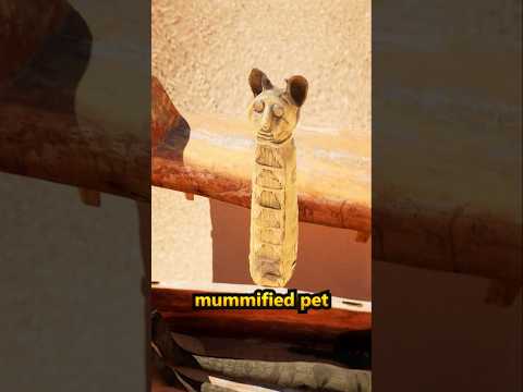 Why Ancient Egyptians Were Buried With Pets