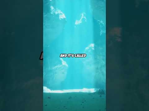 Unveiling the Secrets Beneath the Waves – Mysteries of the Ocean’s Hidden Worlds