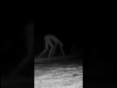 Try not to get scared 😱 #shorts