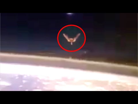 NASA Shuts Down The Live Feed After Something Massive Shows Up At The International Space Station