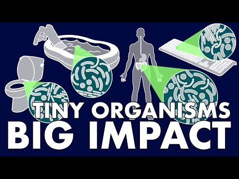 Tiny Organisms, Big Impact