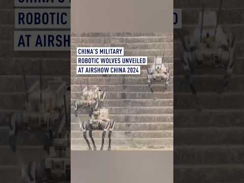 China&#039;s military robotic wolves unveiled at Airshow China 2024