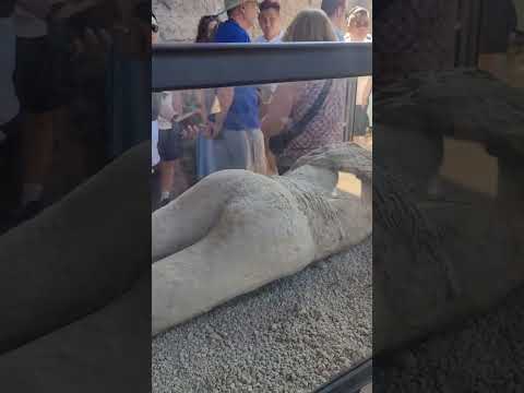 Pompeii woman in plaster cast buried 2000 years after vesuvius eruption!