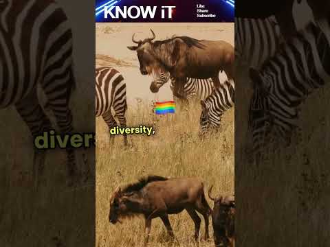 10 Cool Facts About Captive Breeding | KNOW iT