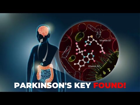 Parkinson’s Cure? New Gut Bacteria Discovery Changes Everything!