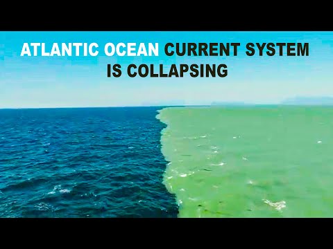 What will happen if Atlantic Ocean current Collapsed