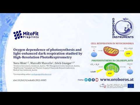 Oxygen dependence of photosynthesis and light-enhanced dark respiration