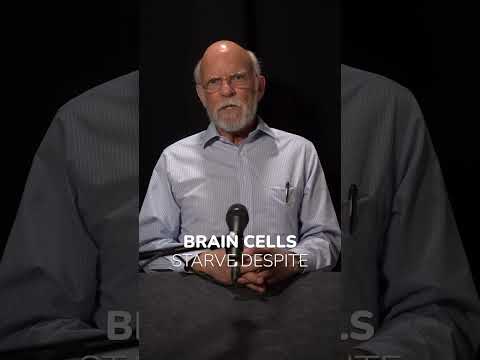 The Mitochondria-Brain Connection Your Doctor Missed