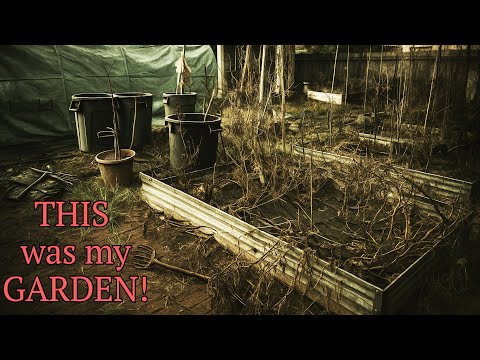 From THIS Wreck… to a Peaceful Garden Oasis | Urban Backyard Transformation