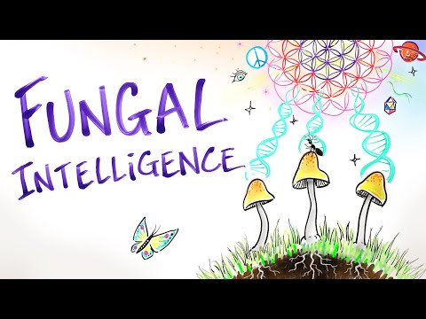 Fungal Intelligence - Conscious Mushrooms, Zombie Ants &amp; The Hidden Wisdom of Nature