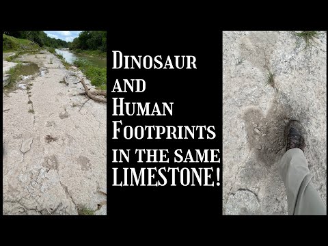 Human Footprint near Dinosaur Tracks - How a Footprint gets Fossilized