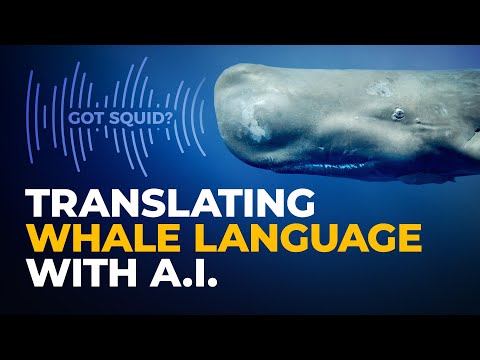 Could Chat GPT Talk to Whales?