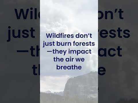 🔥 2. Air Quality and Smoke: New Discoveries in Fire Science 🔥 NSF NCAR RAL