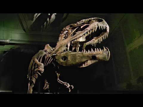 Unearthing the Killer Elite: Predators Beyond T-Rex | Dinosaurs Inside &amp; Out