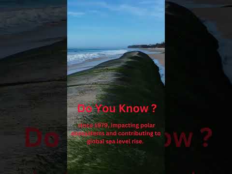 The Alarming Reason Behind sea level rise | Climate Change | Planet Pulse
