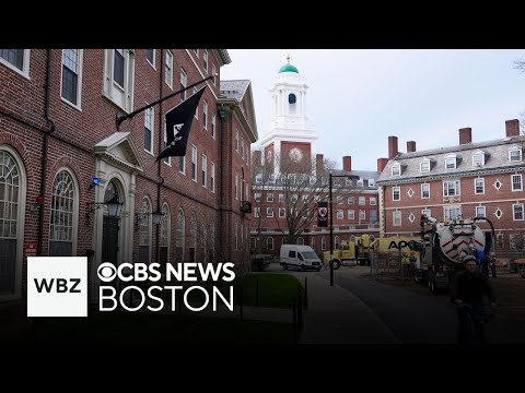 Harvard researcher gets stop work order after Trump freezes federal funding