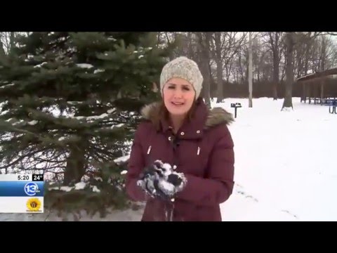 The Science Behind Snow: Light &amp; Fluffy vs. Heavy &amp; Wet January 22, 2016