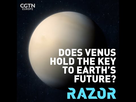 Does Venus hold the key to earth&#039;s future? #SHORTS