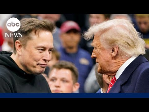 Elon Musk to step back from work in Trump administration