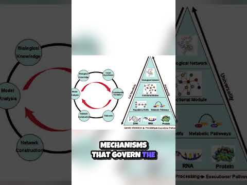 Unlocking the Secrets of Life The Power of Systems Biology 🔬