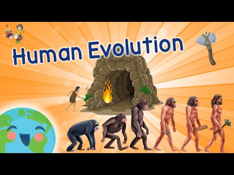 Human Evolution For Kids - Evolution Of Humans (Learning Videos for Kids)