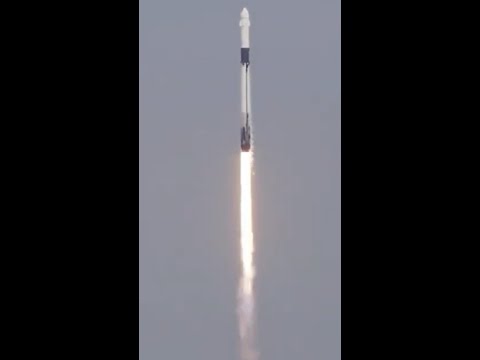 Elon Musk launches rescue mission for stranded NASA astronauts