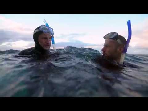 Climate Change: How can the Great Barrier Reef be saved? - BBC Travel Show