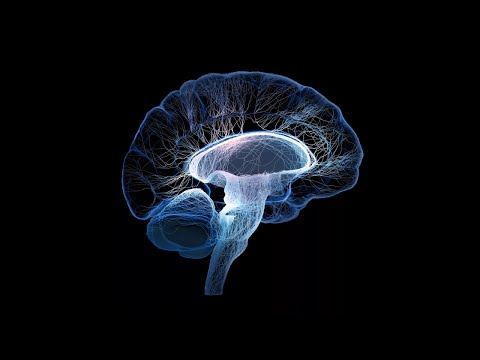 Unlocking the Secrets of Listening: Understanding How Our Ears Work with Sound