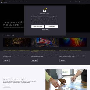 EY Launches Cutting-Edge Website to Expand Digital Services