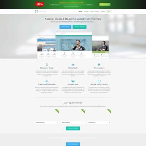 ThemeHorse: Empowering Websites with Stunning Themes