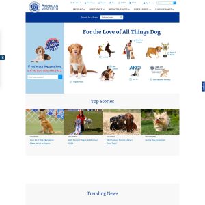 AKC.org: The Premier Destination for All Things Canine