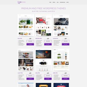 LyraThemes: Empowering Website Designers with Innovative Themes