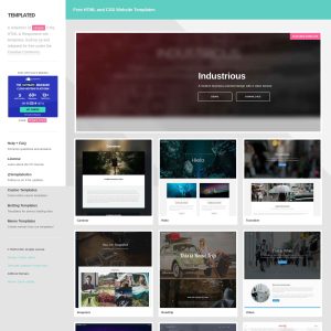 Website Template.co: A Treasure Trove of Quality Templates for All