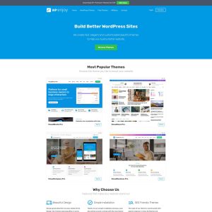 Introducing WPEnjoy.com: The Ultimate Destination for WordPress Themes
