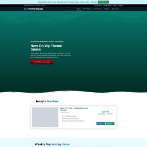 WPThemeSpace: Revolutionizing the World of WordPress Themes