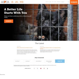 ASPCA.org: Advocating for Animal Welfare Online