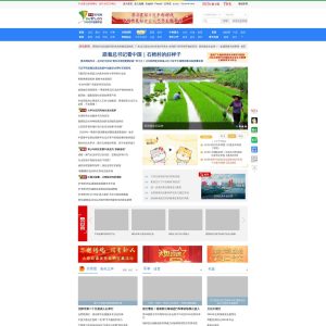 Youth.cn: The Go-To Website for Youth News and More