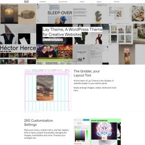 LayTheme.com Revolutionizes Website Design: A Powerful Tool for Creative Professionals