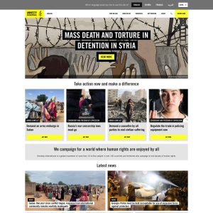 Amnesty.org: Empowering Human Rights Advocacy in the Digital Age