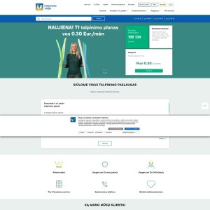 Introducing IV.lt: Empowering Businesses with Reliable Virtual Solutions