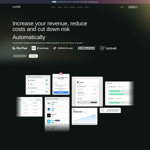 Paddle.com: Simplifying Online Transactions for Businesses