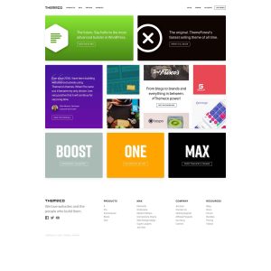 Introducing Theme.co: A Website Design Solution Simplified