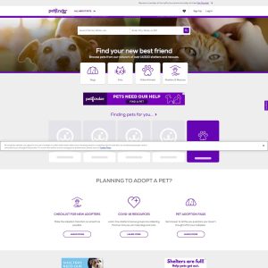 Petfinder.com: Connecting Pet Lovers with Their Perfect Companions