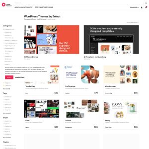 Introducing Select-Themes.com: A Game-Changing Website for Custom Web Design