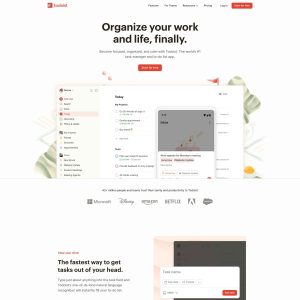 Todoist: A Revolutionary Task Management Tool