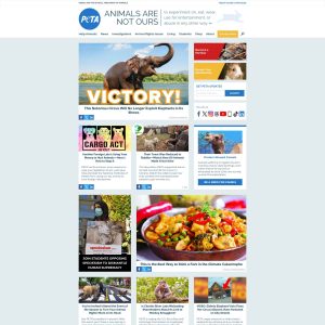 Peta.org: An Online Destination for Animal Rights Advocacy