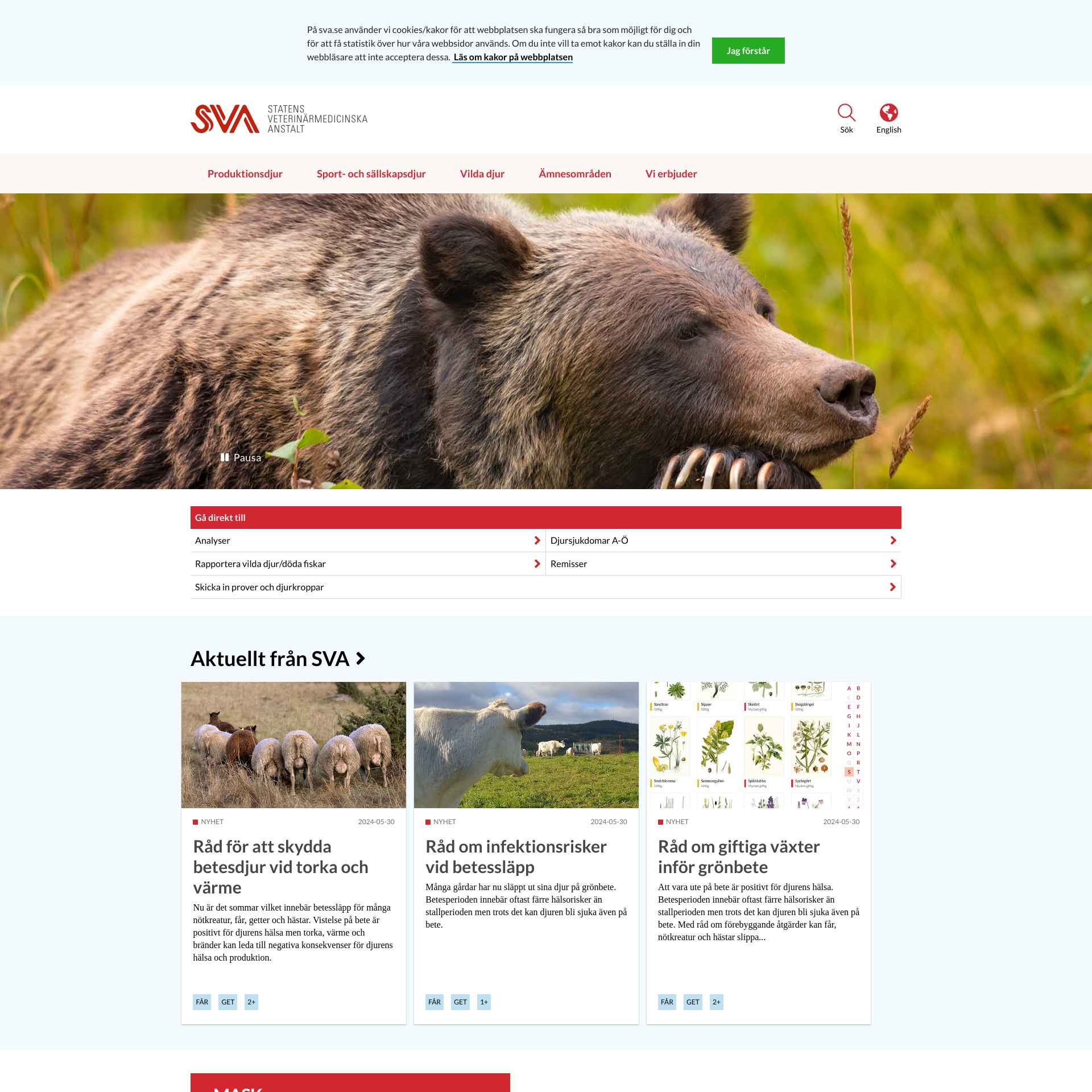 The Swedish Veterinary Association Launches New Website with Enhanced Features